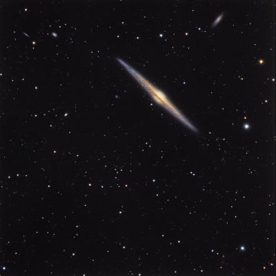 NGC4565 NASA APOD
